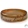 ���������� �� ����������� ������: Animae dimidium meae - �������� ���� ����