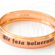 ������� �� ������: Sic fata voluerunt